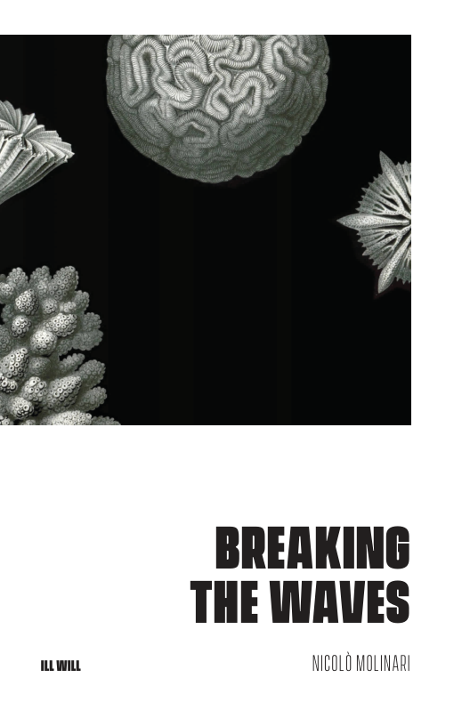 BREAKING THE WAUES i NICOLD MOLINARI